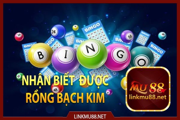 Nhận biết được rồng bạch kim