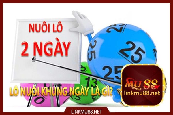 Lô nuôi khung ngày là gì?